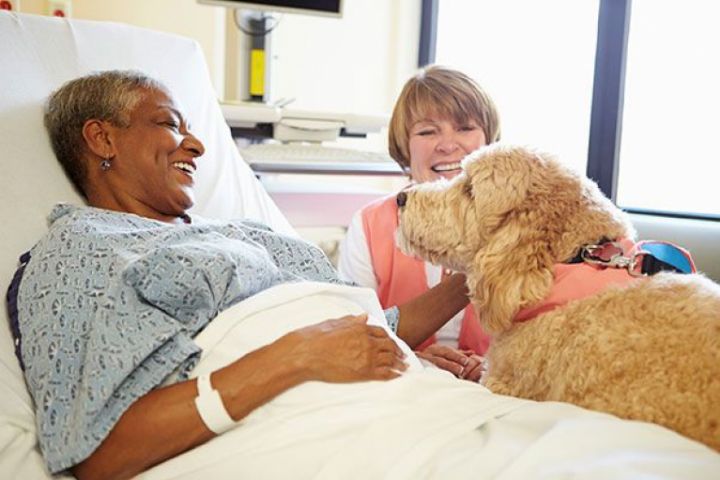 Pet Therapy for Hospice