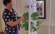 Indoor Hydroponic Tower Garden at MHC Thumbnail