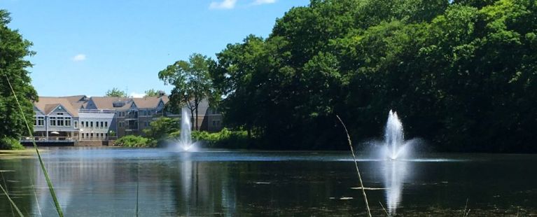 ashlar_village_pond.jpg