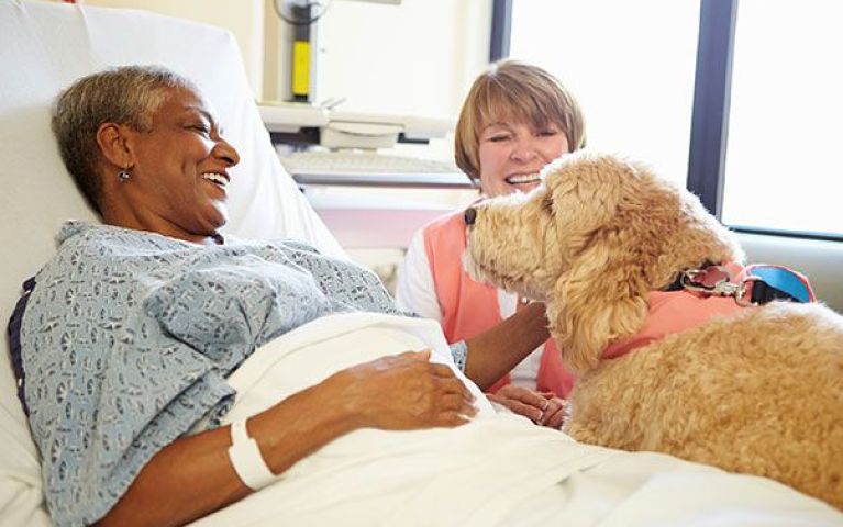Pet Therapy for Hospice