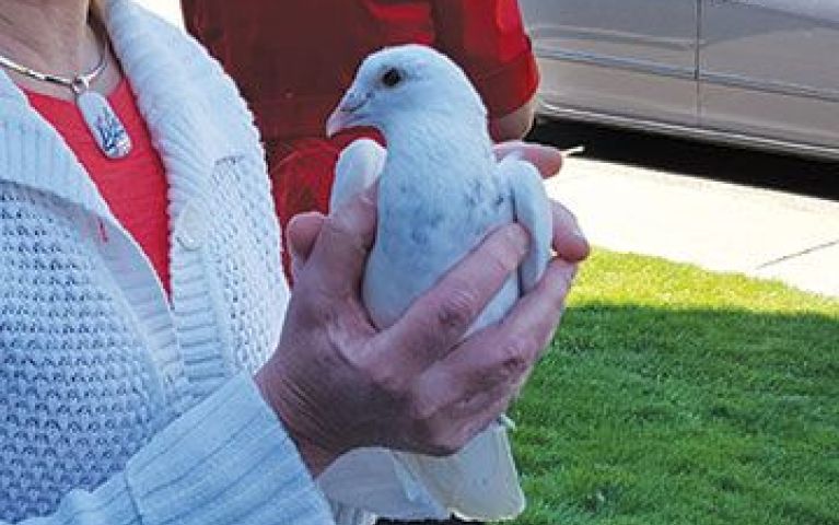 Hospice Memorial Services