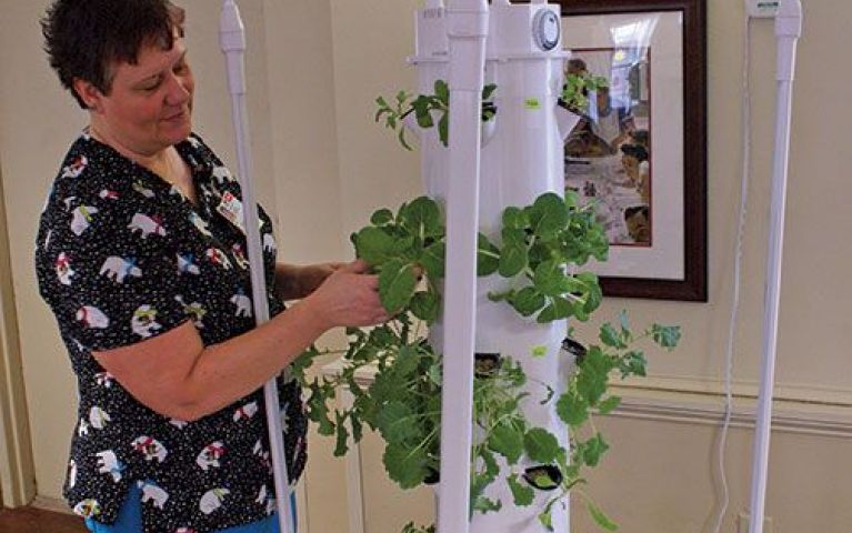 Indoor Hydroponic Tower Garden at MHC