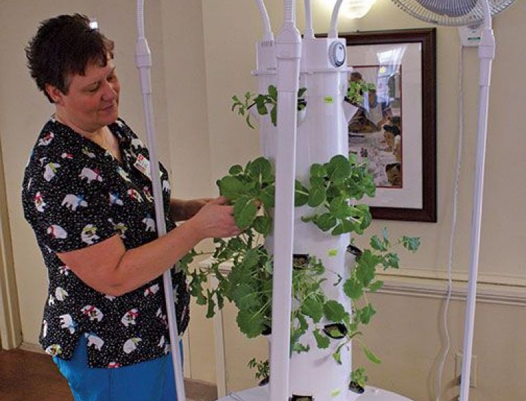 Indoor_Hydroponic_Tower_Garden.jpg