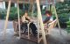 Accessible Swing at MHC Thumbnail
